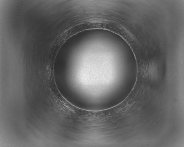 X0000073870821200608101507