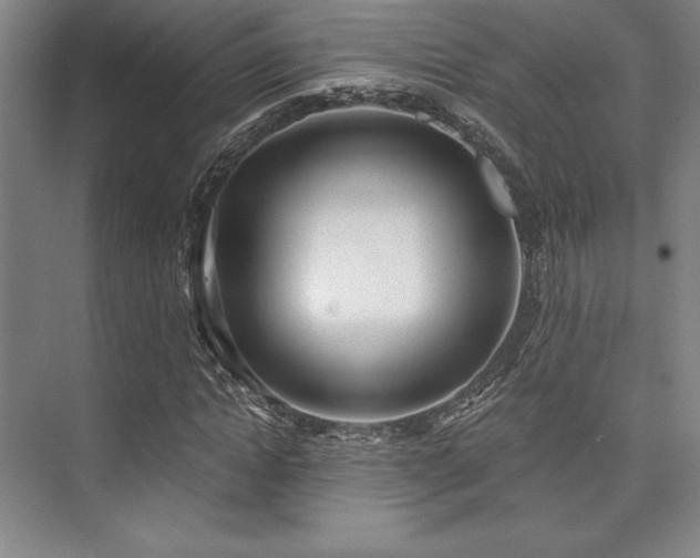 X0000073870822200608101507