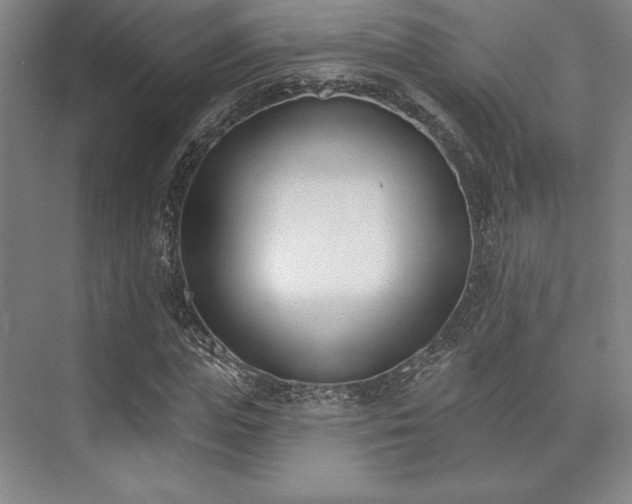 X0000073870823200608101507