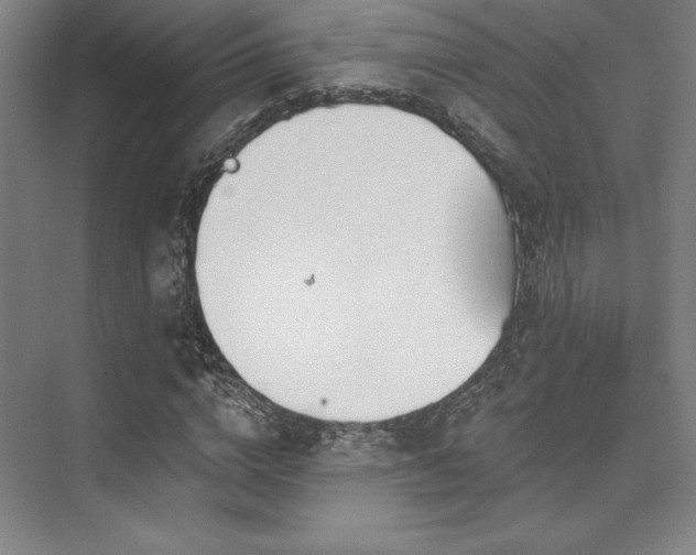 X0000073870824200608101507