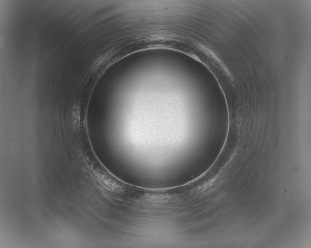 X0000073870825200608101507