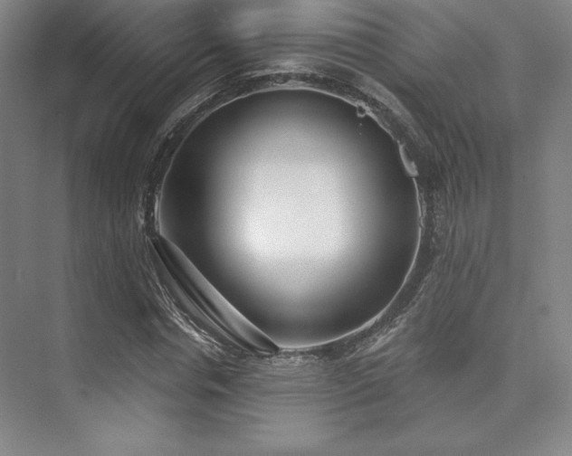 X0000073870826200608101507