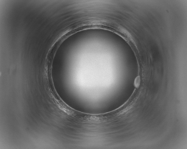 X0000073870827200608101507