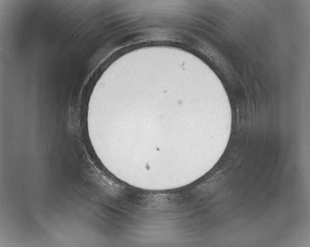 X0000073870828200608101507