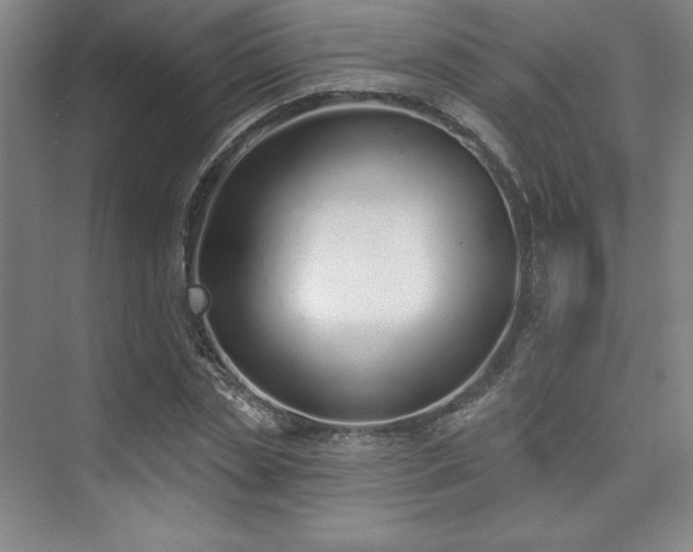 X0000073870829200608101507