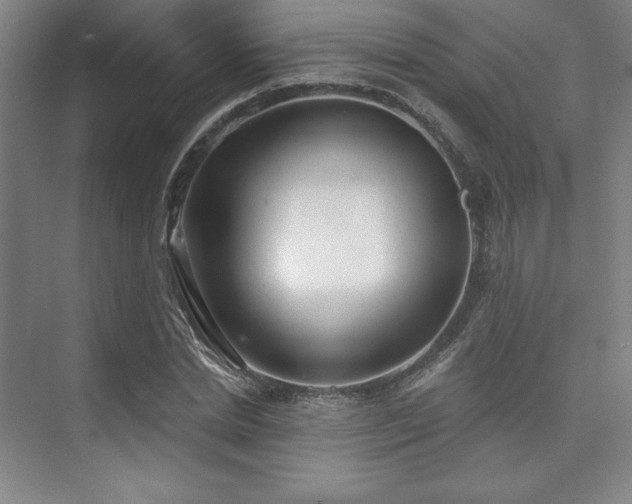 X0000073870830200608101507