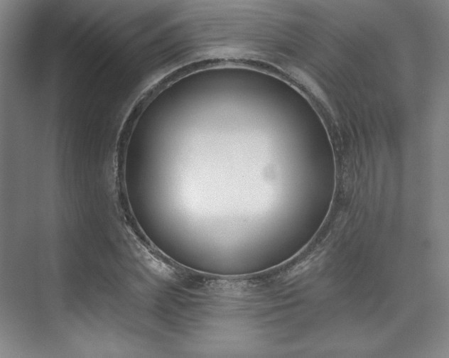 X0000073870831200608101507