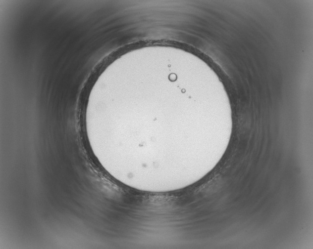 X0000073870832200608101507