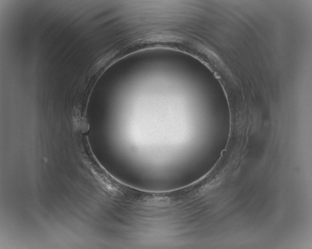 X0000073870833200608101507