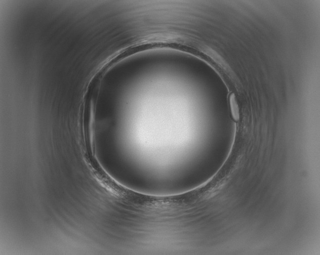 X0000073870834200608101507