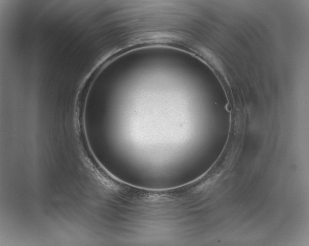 X0000073870835200608101507