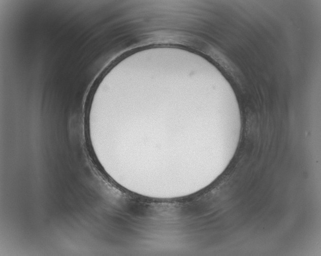 X0000073870836200608101507