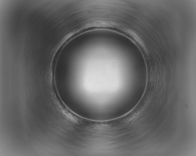 X0000073870837200608101507