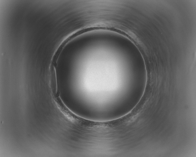 X0000073870838200608101507