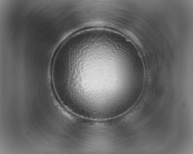 X0000073870839200608101507