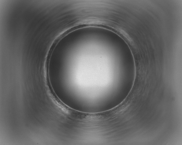 X0000073870840200608101507