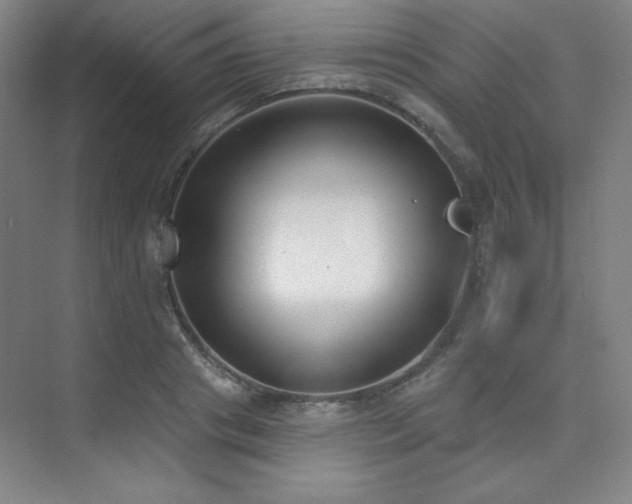 X0000073870841200608101507