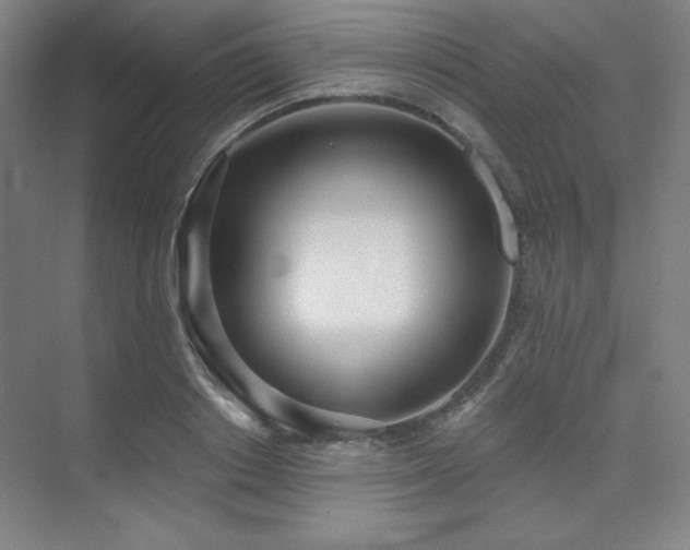 X0000073870842200608101507