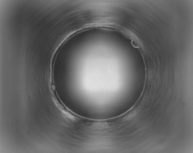 X0000073870844200608101507