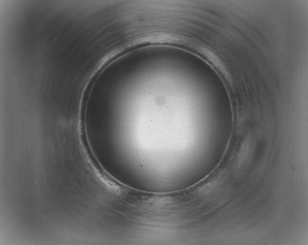 X0000073870845200608101507