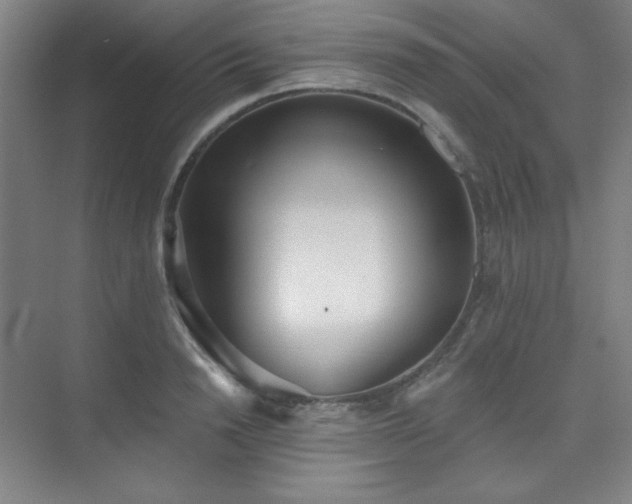 X0000073870846200608101507