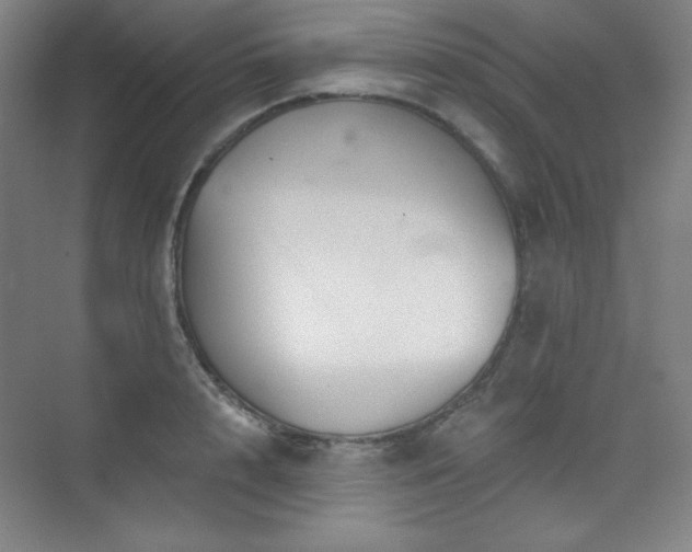 X0000073870848200608101508