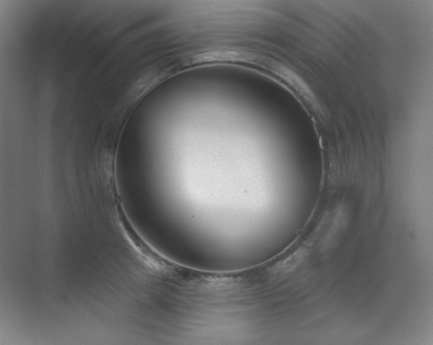 X0000073870849200608101508