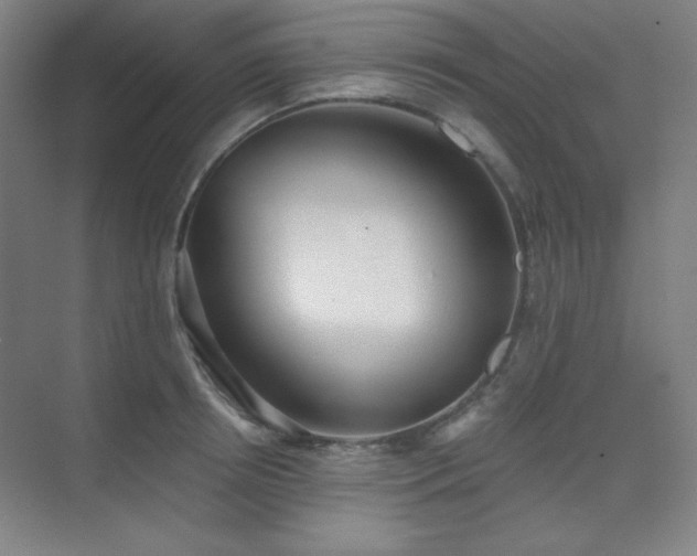 X0000073870850200608101508