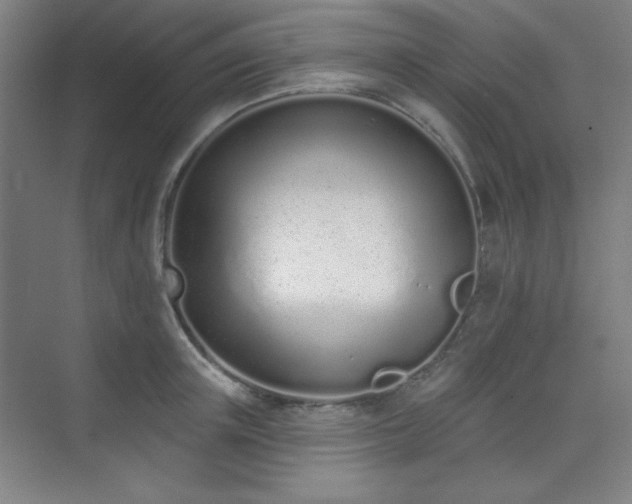 X0000073870851200608101508