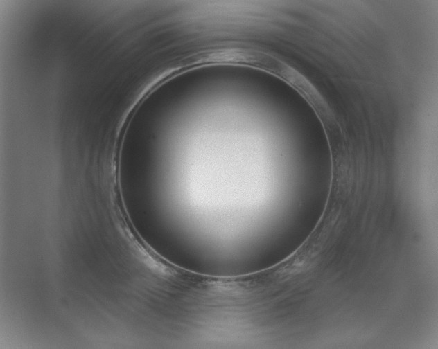 X0000073870852200608101508