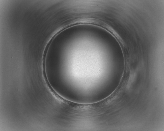 X0000073870853200608101508