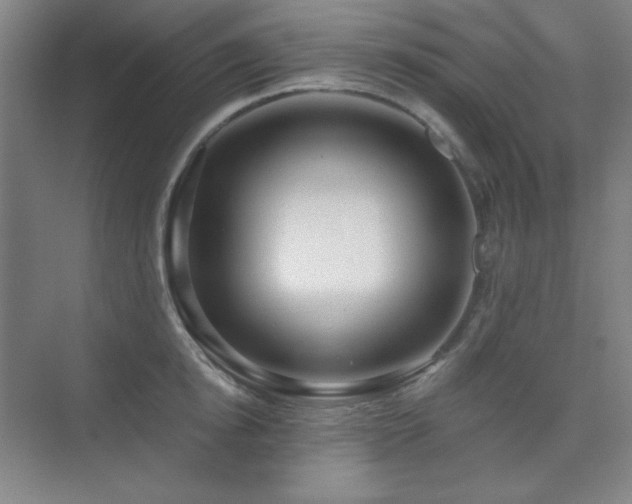 X0000073870854200608101508