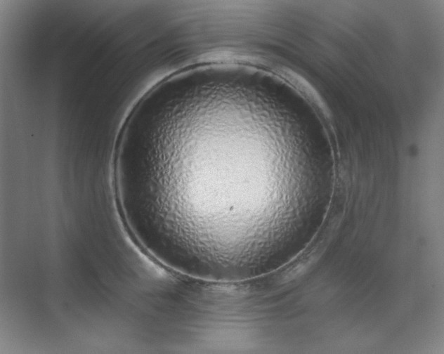 X0000073870855200608101508