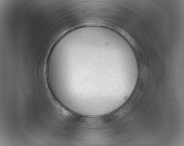 X0000073870856200608101508