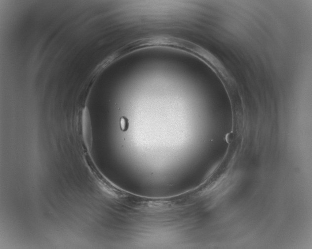 X0000073870857200608101508