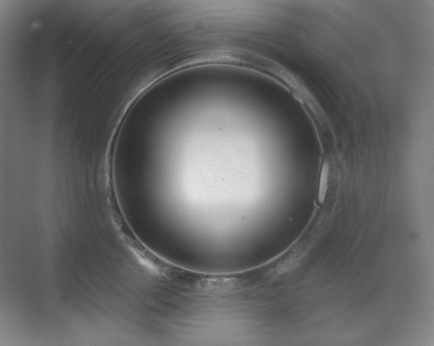 X0000073870858200608101508