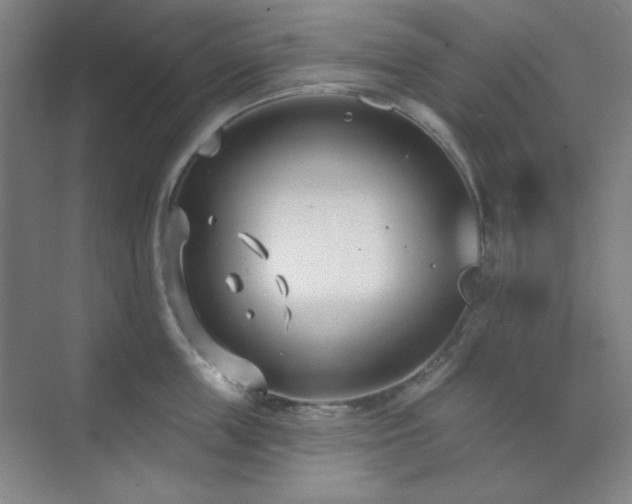 X0000073870859200608101508