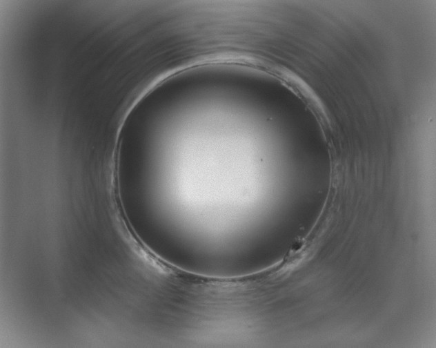 X0000073870860200608101508