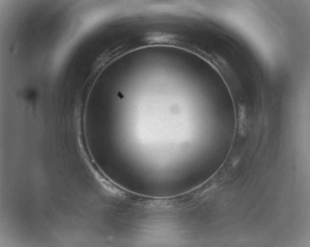 X0000073870861200608101508