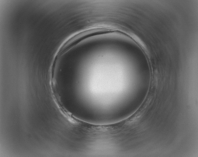 X0000073870862200608101508