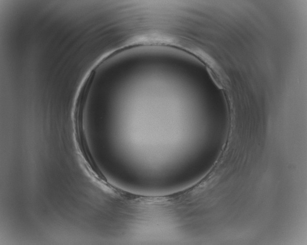 X0000073870864200608101508