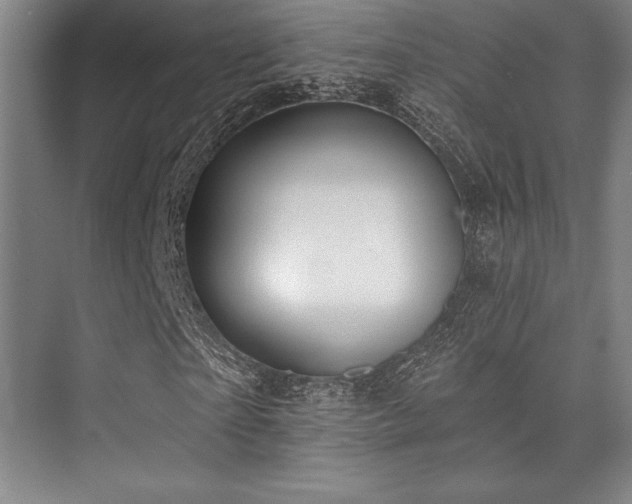 X0000073870865200608101507