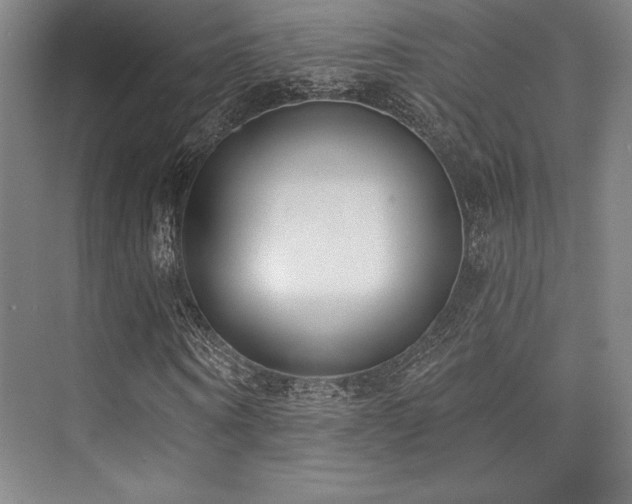 X0000073870866200608101507