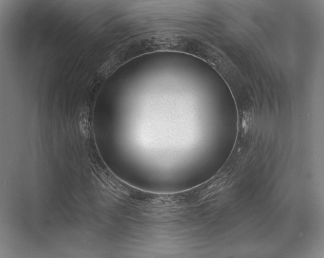 X0000073870867200608101507