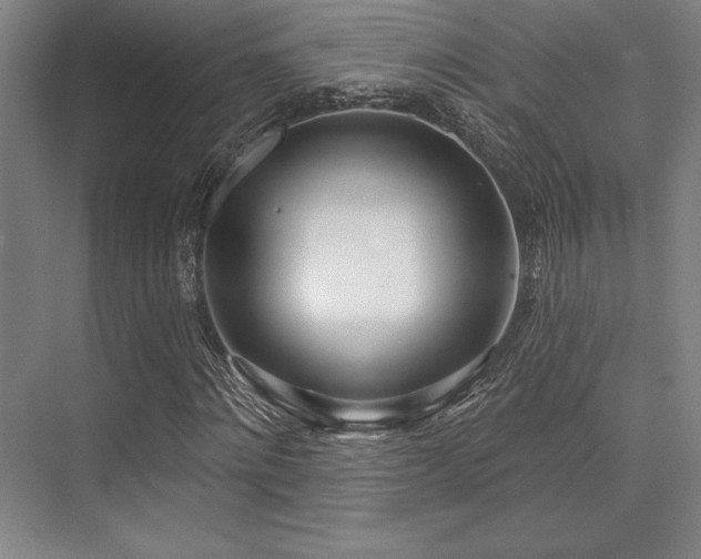 X0000073870868200608101507