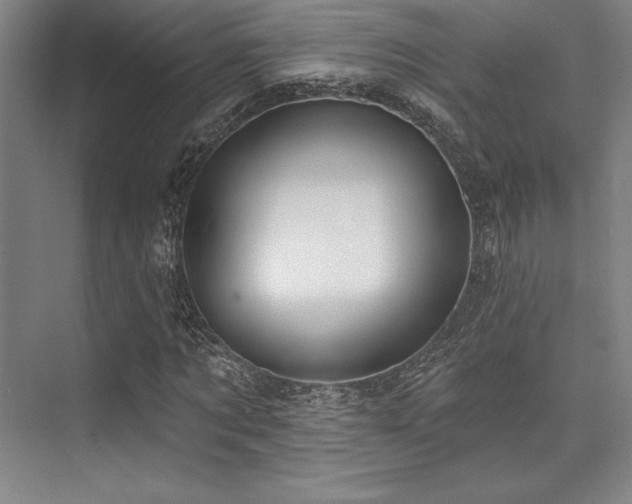 X0000073870869200608101507