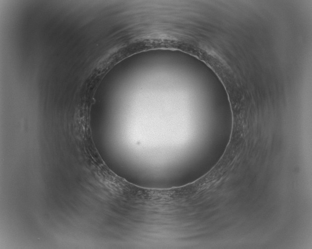 X0000073870870200608101507