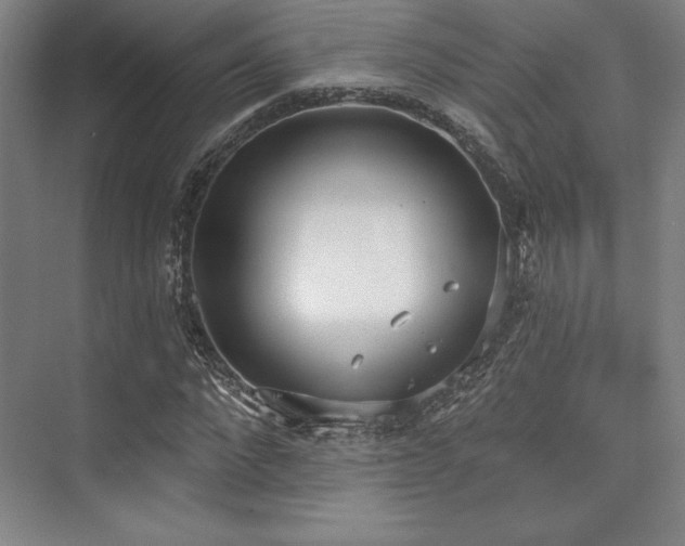 X0000073870872200608101507