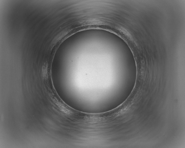 X0000073870873200608101507