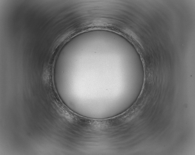 X0000073870874200608101507